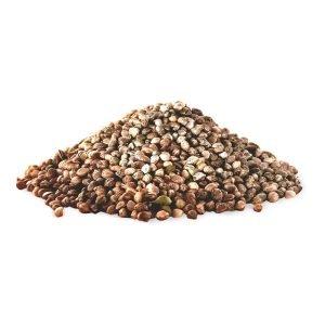 Hemp Seeds