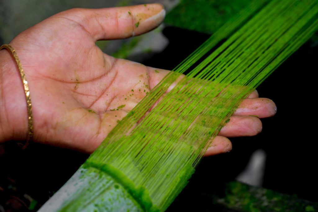 Maeko e Komodra Business Group per l'approvvigionamento della fibra di ananas